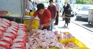 زیان روزانه ۷۰۰ میلیارد تومانی مرغداران در پی افت قیمت مرغ