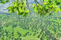 راه‌اندازی کارزار ثبت «روز ملّی زاگرس» در تقویم رسمی+لینک کارزار
