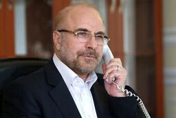 مجلس آماده توسعه همکاری‌های پارلمانی ایران و عراق