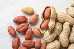 با مصرف این آجیل از پیر شدن فاصله بگیرید 
