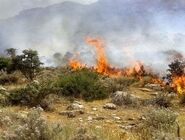 آتش‌سوزی منطقه حفاظت شده بیستون پس از ۱۸ ساعت مهار شد