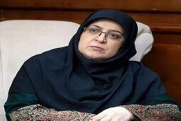 سخنگوی دولت: با جدیت در مسیر اصلاحات حرکت می‌کنیم