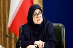 مهاجرانی: دولت چشم انتظار توافق نمی ماند