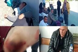 ضرب‌وشتم ۳۸ کارگر ایرانی در مزارع چای ترکیه پس از مطالبه دستمزد