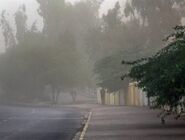 هشدار وزش باد شدید در تهران