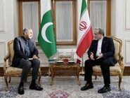 دیدار و رایزنی وزیر کشور پاکستان با وزیر امور خارجه ایران