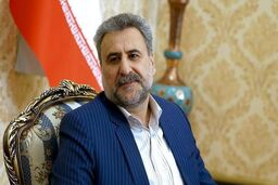 فلاحت‌پیشه: طرح مقابله با نفوذ در شأن ملت ایران نیست