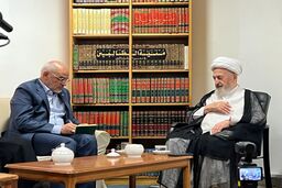 آیت‌الله سبحانی: همه باید پشتیبان مذاکرات باشیم و نتیجه را ملاک قرار دهیم