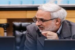 نماینده مجلس: انتقاد به روش دهک‌بندی خانوارها وارد است