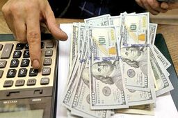 ۴۸ میلیارد دلار ارز واردات تامین شد