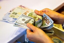 پیشنهاد افزایش میزان ارز ترجیحی به ۱۵.۵ میلیارد دلار