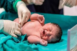 کاهش نرخ فرزندآوری به ۰.۹ در برخی استان‌ها 