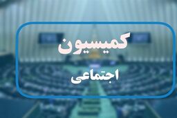 رئیس مجلس و وزیر کار به کمیسیون اجتماعی می‌روند
