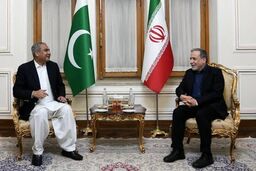 سفر وزیر کشور پاکستان به تهران با پیشنهاد جدید برای بن بست شکنی از مذاکرات