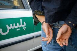 کشف ۲۳۰ کیلو قارچ ترافل قاچاق در کلاله

