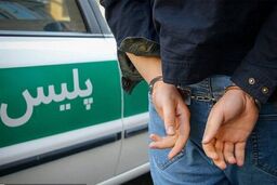 کشف ۲۳۰ کیلو قارچ ترافل قاچاق در کلاله

