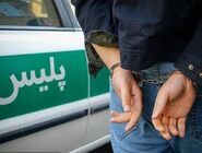 کشف ۲۳۰ کیلو قارچ ترافل قاچاق در کلاله

