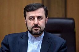 تأکید معاون وزیر خارجه بر دفاع قاطع ایران در برابر نقض تعهدات آمریکا+ فیلم