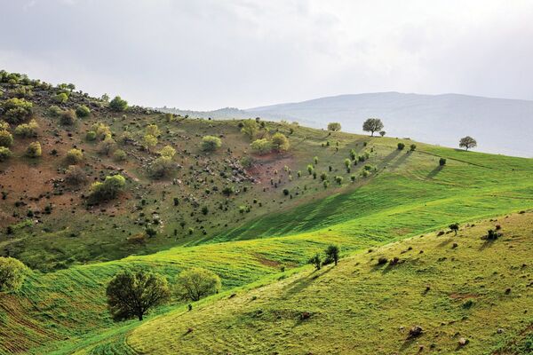 عشق پایان آدمیزادی است/ درباره عکسی از دره عشق