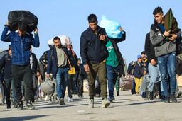 جزئیات جدید از طرح ساماندهی اتباع خارجی