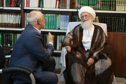  آیت‌الله نوری همدانی: به مذاکره‌کنندگان خود اعتماد داریم