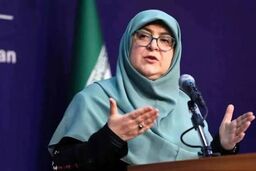 برق نیروگاه‌های جدید تا پاییز به بخش صنعت اختصاص می‌یابد

