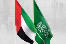 هشدار مقام اماراتی درباره تلاش‌ها برای ایجاد تفرقه میان عربستان و امارات