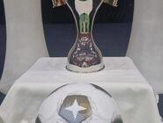 توپ جدید لیگ برتر رونمایی شد؛