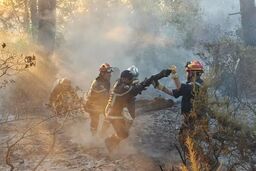 آتش‌سوزی جنگل در الجزایر جان 12 نفر را گرفت