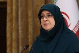 مهاجرانی : حساسیت‌های اجتماعی باید در سفر اعضای کابینه مدنظر قرار گیرد/ احتمال دارد دولت مقررات جدید برای سفر اعضای کابینه ایجاد کند