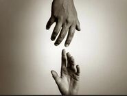 جزئیات اجرای طرح ویژه مقابله با خودکشی در استان تهران