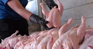 تغییرات جدید در بازار پروتئین